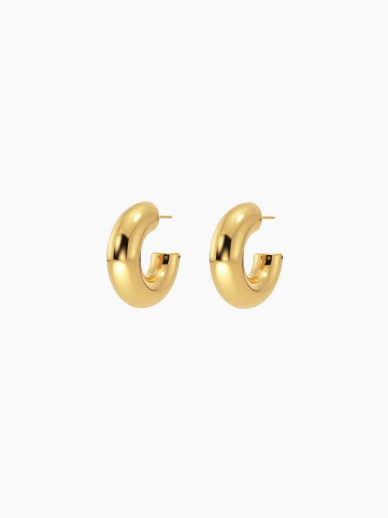 LILY LUXE™ | Chunky Hoops